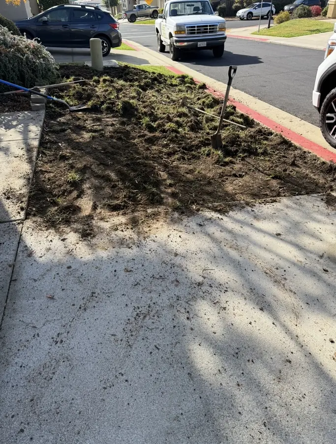 Sod prep + haul-away