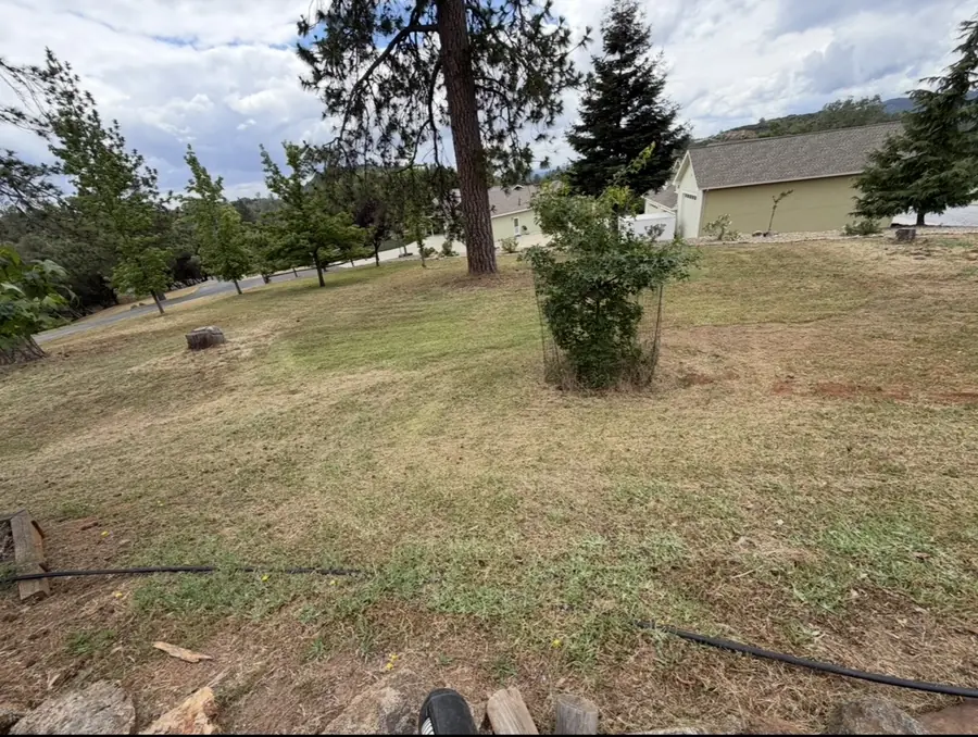 Weed knockdown + trim