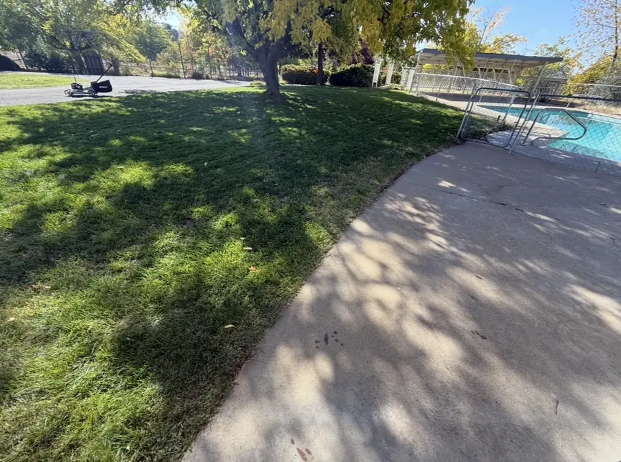 Poolside lawn