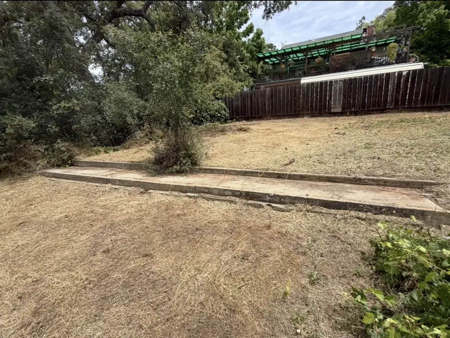 Hillside brush clearing