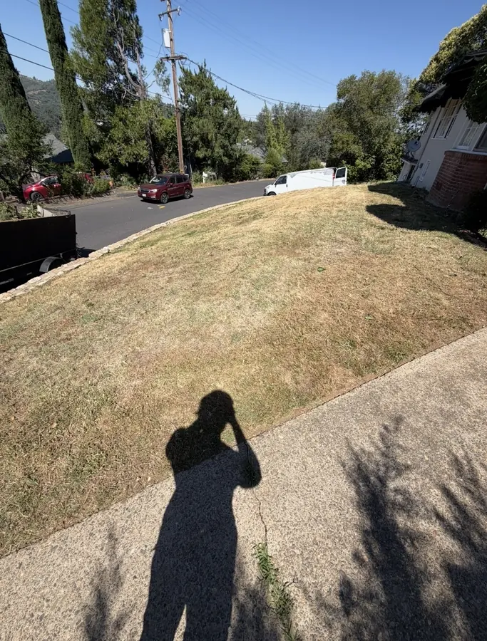 Front lawn revive