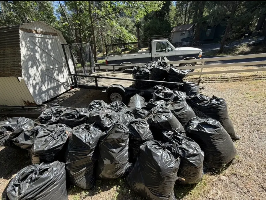 Bagged, hauled, gone